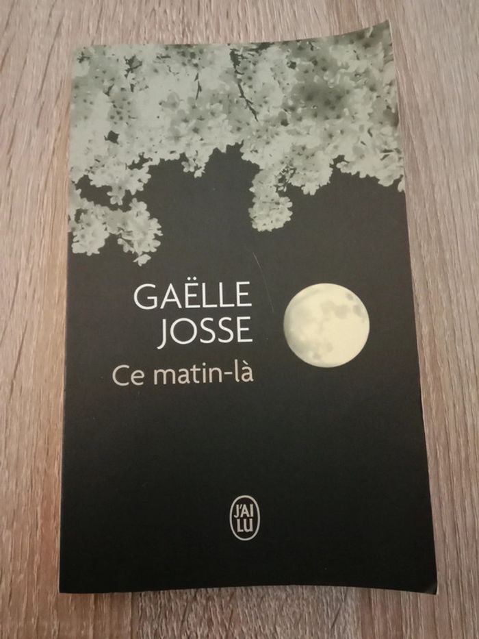 Gaëlle Josse 🪅 Ce matin-là - photo numéro 1