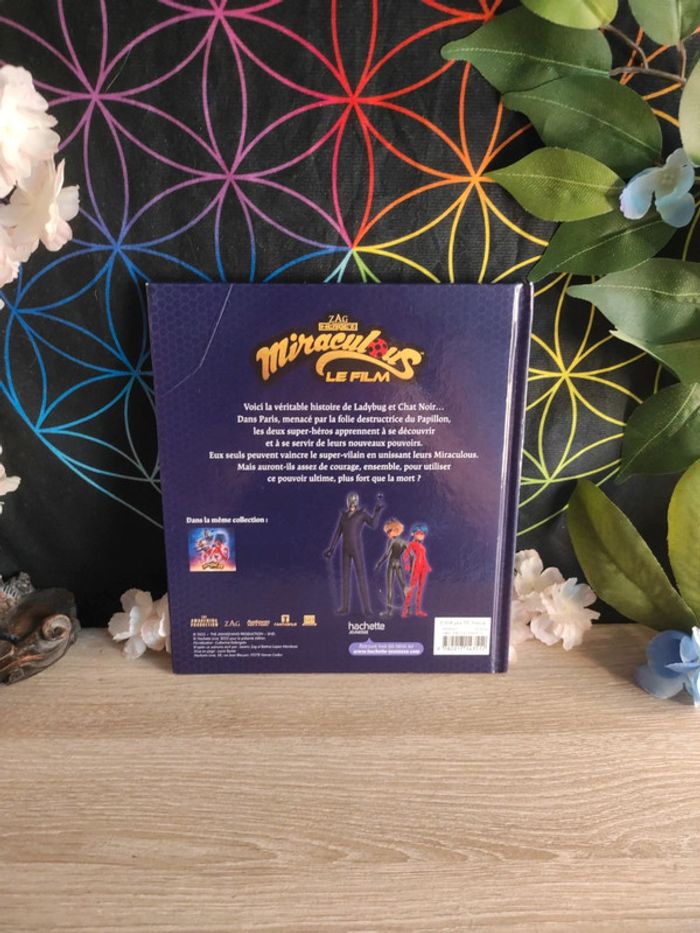 Miraculous – Le film - photo numéro 2