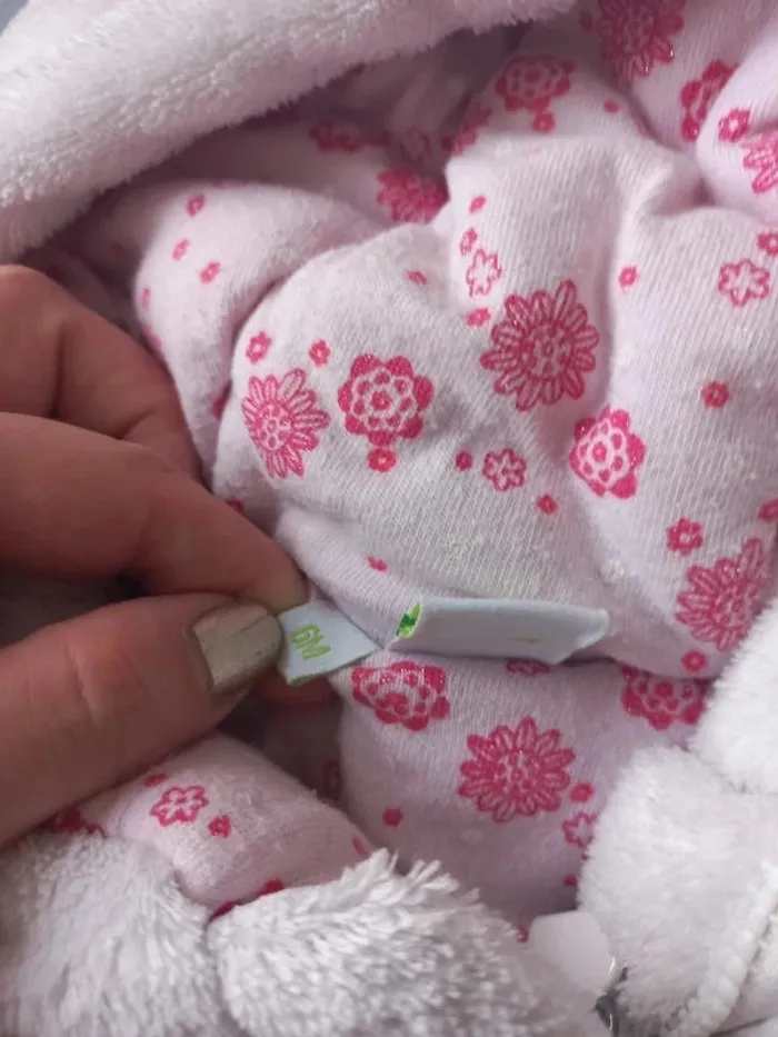 Combi pilote - photo numéro 2