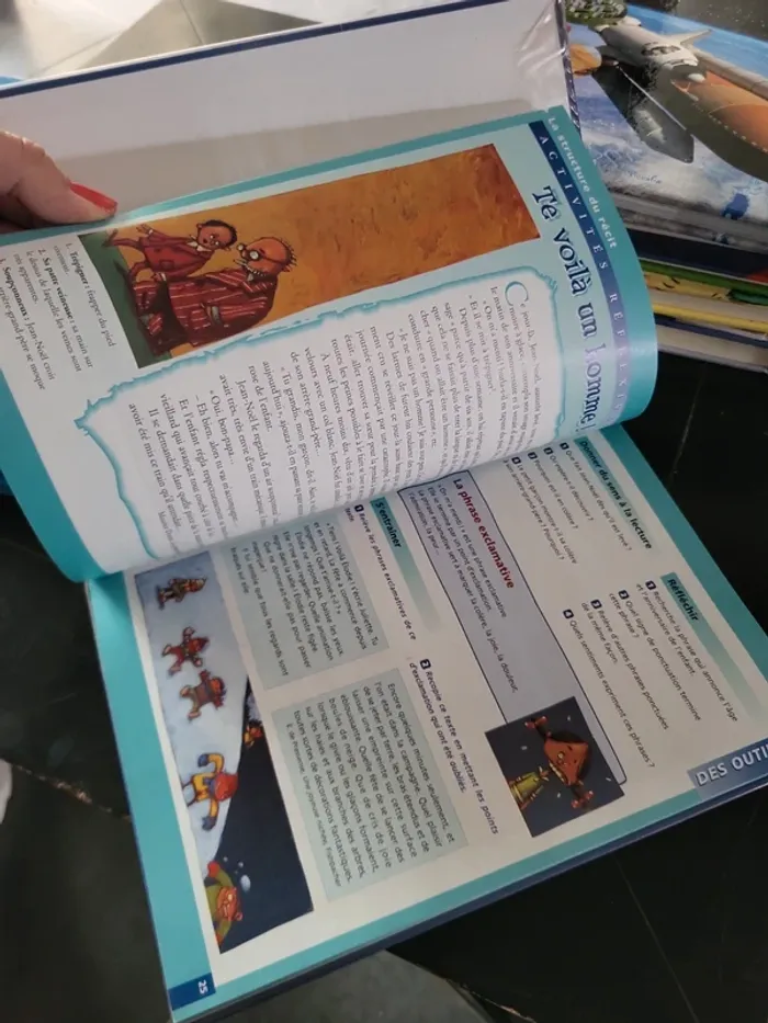 Livre miroir CE2. - photo numéro 8