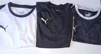 Lot tee-shirt polyester puma