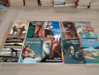 Lot de 10 livres de poches divers (10)