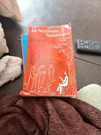 Le nouveau testament en français courant illustré