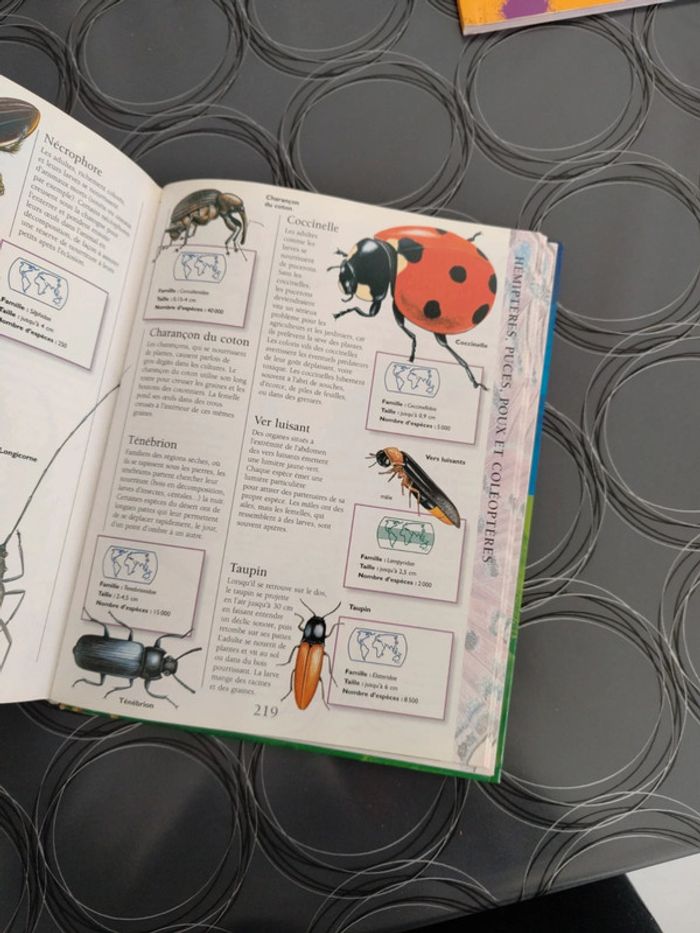 Larousse Junior des Animaux en excellent état - photo numéro 5