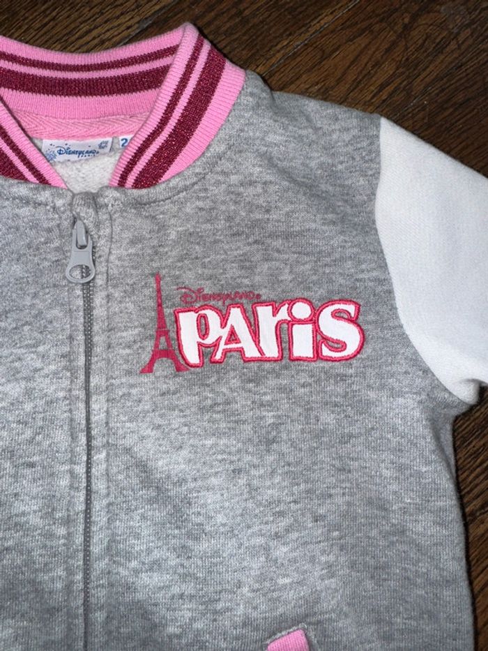 Gilet ou blouson Disneyland Paris 24 mois Acheté au parc - photo numéro 2