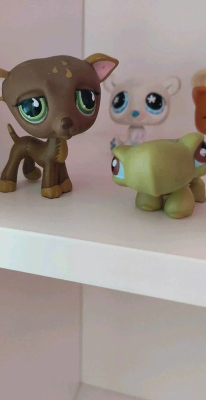 Lot de 5 Pet Shop originaux - photo numéro 3