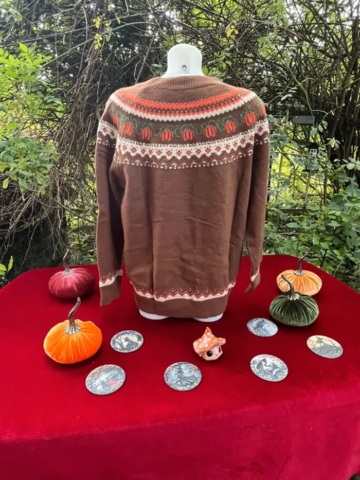 Pull Automnal Citrouilles Enchantées Super Doux Ne pique Pas ! - photo numéro 2