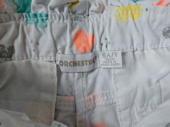 Short Orchestra - photo numéro 5