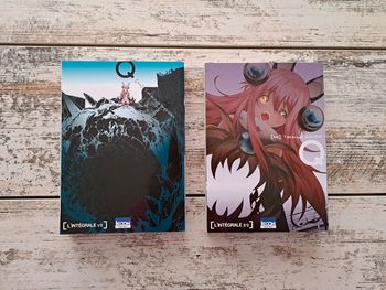 integrale 2 volume  Tatsuya Shihira