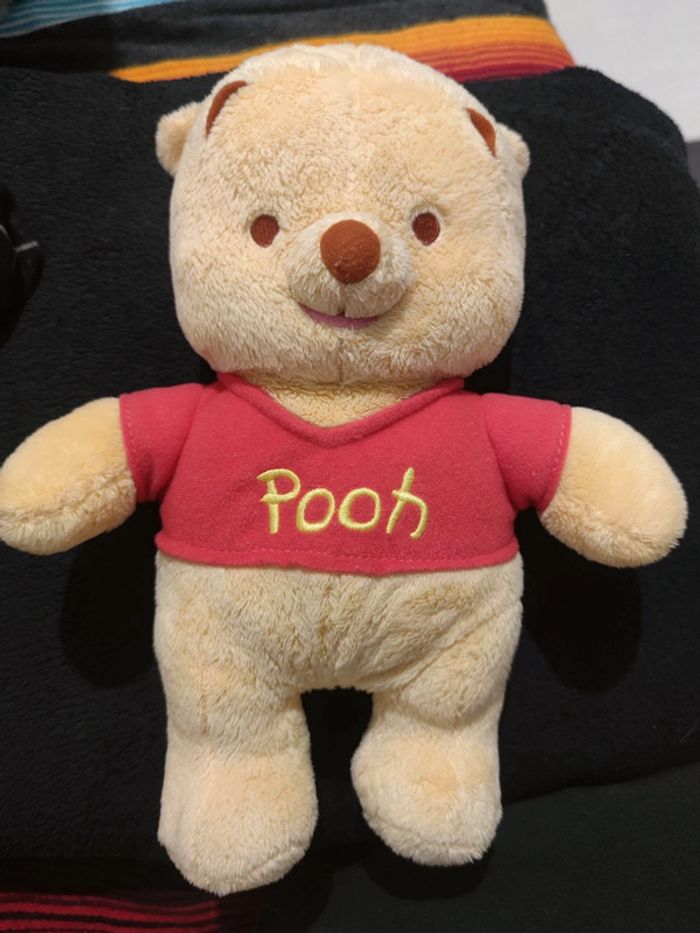 🌺 Peluche Winnie l'ourson Winnie the pooh