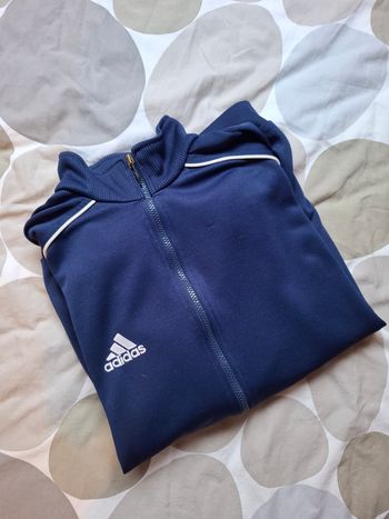 Veste bleu Adidas Homme