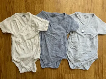 Bodies