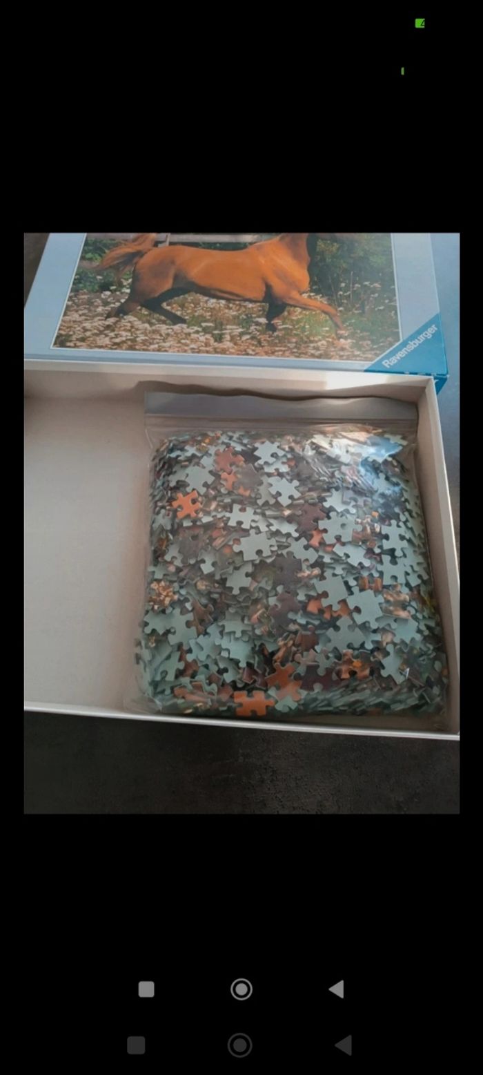 Puzzle 1000 pièces ravensburger complet - photo numéro 4