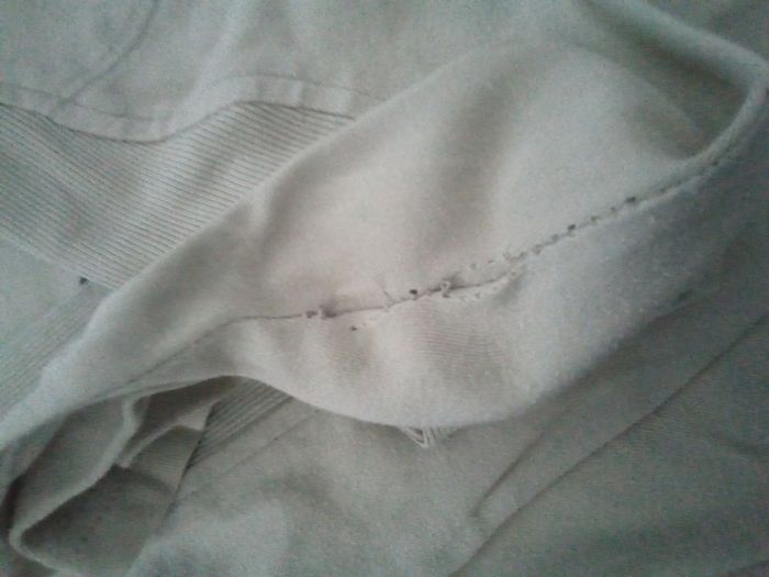 Tee shirt - photo numéro 3