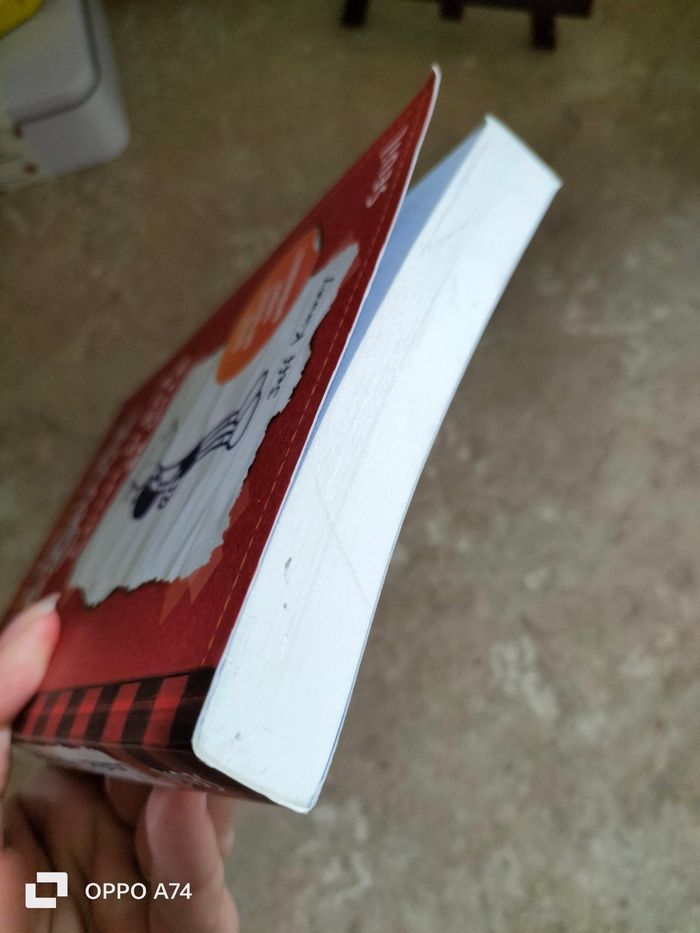 Livre 🧡 Journal d un dégonflé - Carnet de bord de greg - photo numéro 6