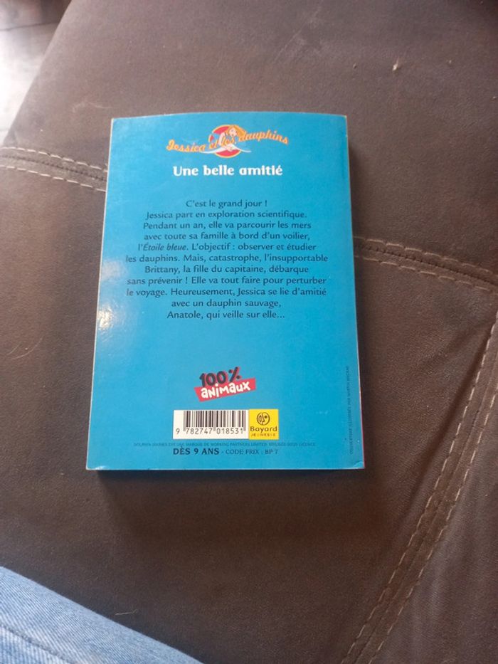 Jessica et les Dauphins une belle amitié - photo numéro 2