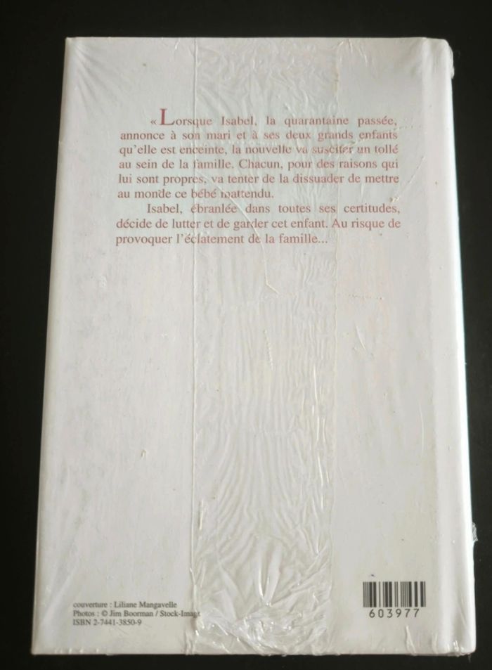 Un petit imprévu de Susanna Jackson - photo numéro 2