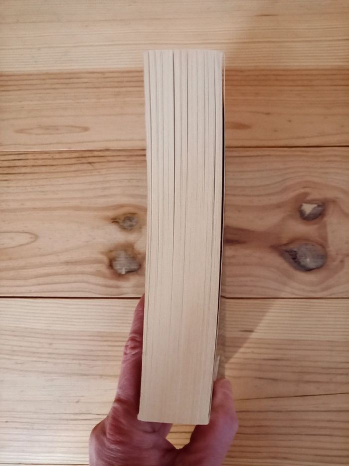 Livre Watchdogs - Dark Clouds - photo numéro 4