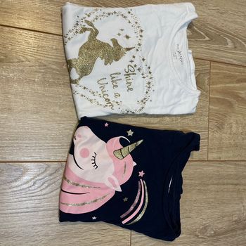 2 T shirt licorne