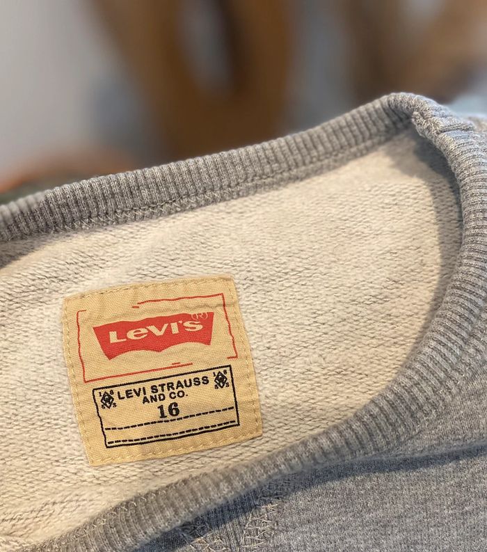 Sweat levis - photo numéro 2