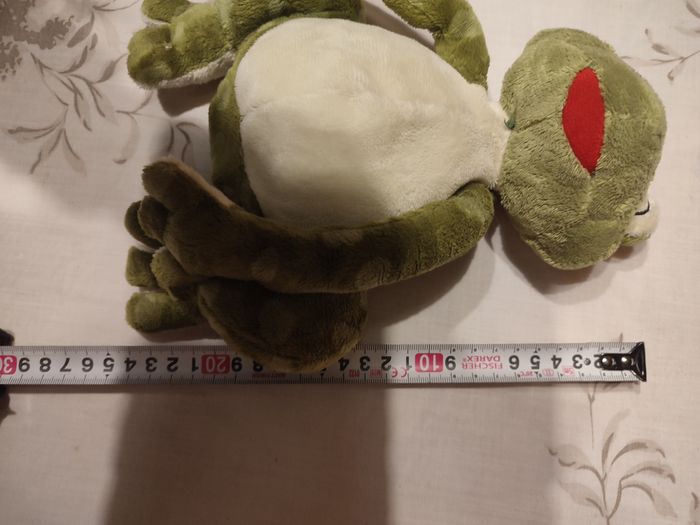 Grenouille - photo numéro 5