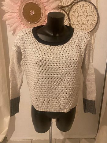 Pull 2 couleur Fb sister