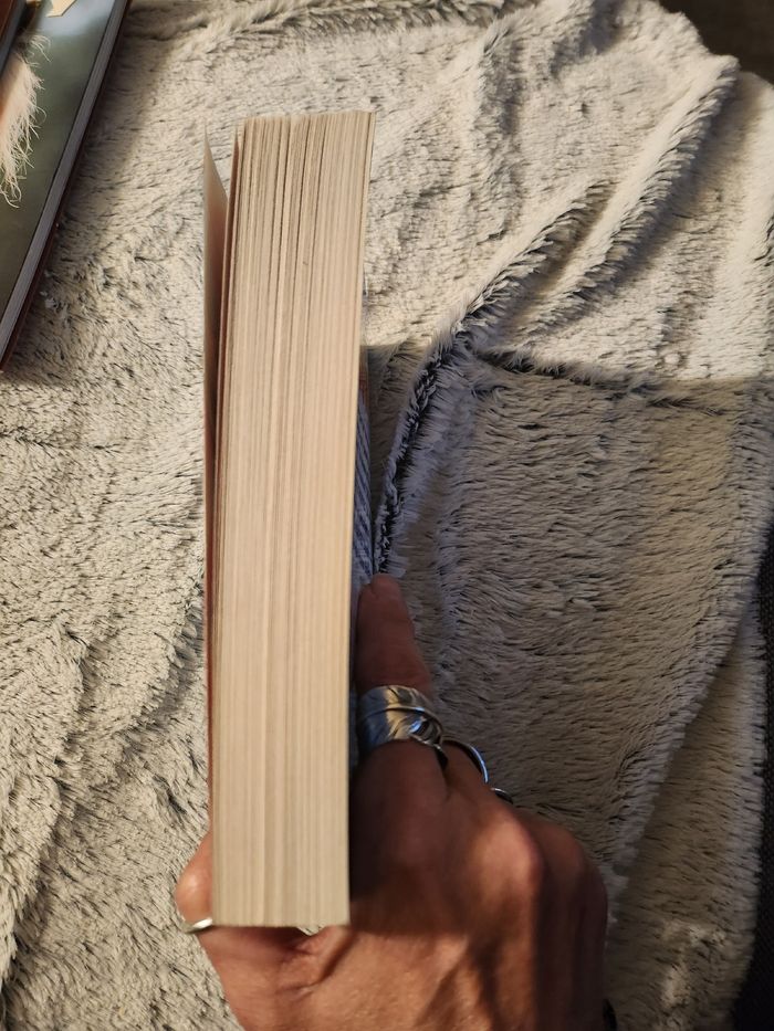 Livre jeunesse vrouuum babounes mini big Richard petit - photo numéro 5