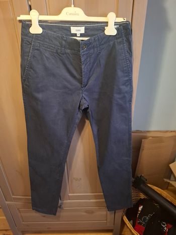 Chino 36