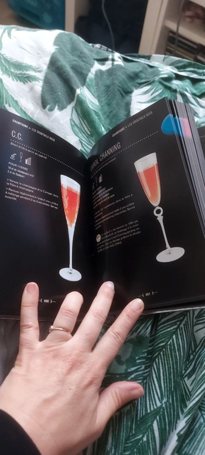 Le petit larousse des cocktails - photo numéro 3