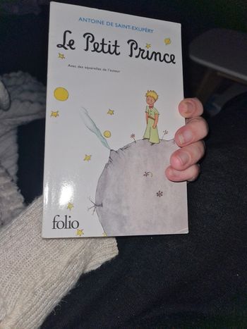 Le petit prince Antoine de Saint Exupery