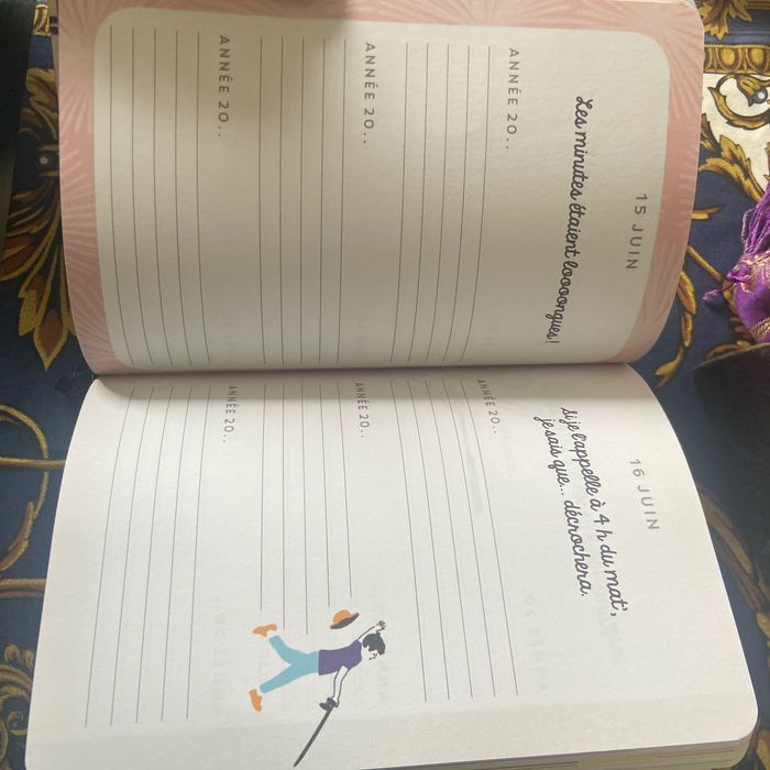 Journaling guidé sur 3 ans - photo numéro 4