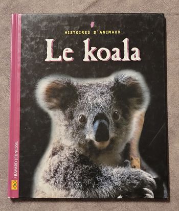Le koala Jean-Claude Dubost