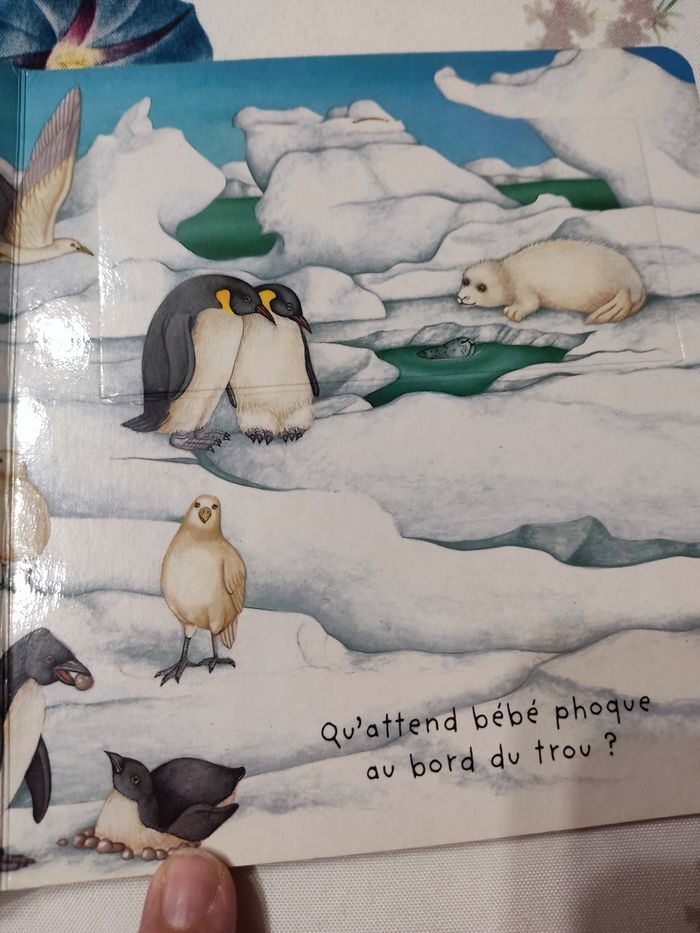 Les animaux du froid - photo numéro 5