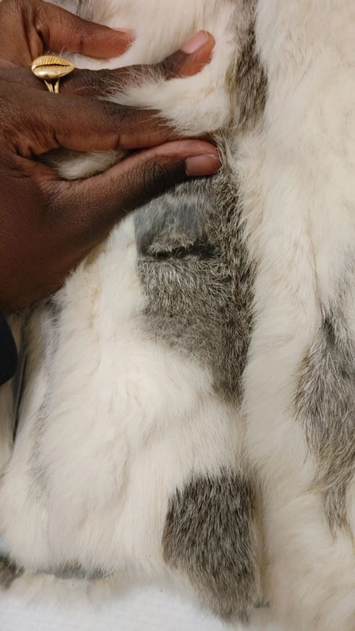 Gilet boléro sans manche en fausse fourrure intérieur Satin - photo numéro 5
