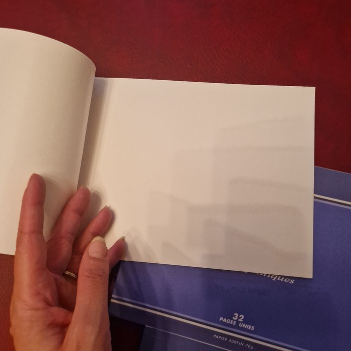 Lot 3 cahiers dessin/ travaux pratiques - photo numéro 4