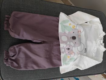 Ensemble koala