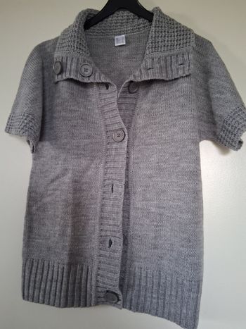 Gilet aspect lainage gris " t- 40"