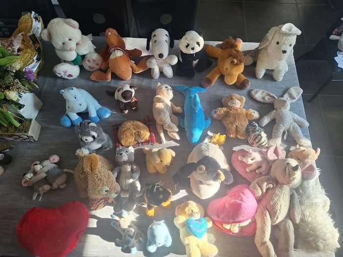 Peluche