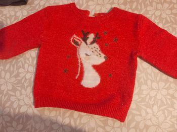 Pull chaud renne