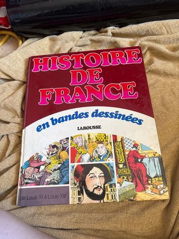 Histoire de France en bande dessinée