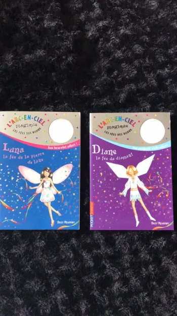 livres les fées des bijoux