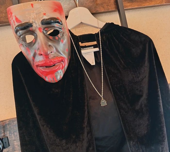 Déguisement 10 ans - photo numéro 8