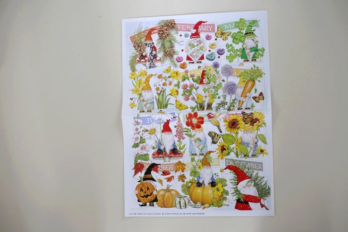 Puzzle 1000 pièces irrégulières Cobble Hill "A Happy gnomes life" - photo numéro 5