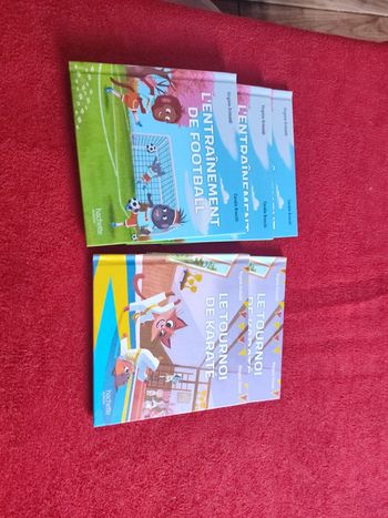 Livre collection esprit sport de McDo