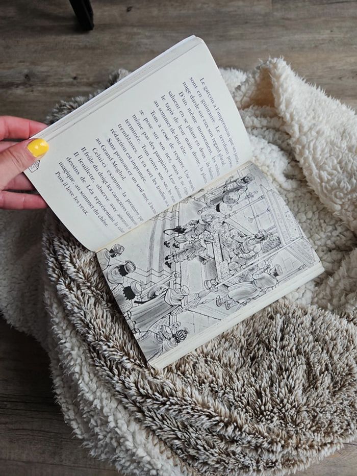 Livre - photo numéro 8