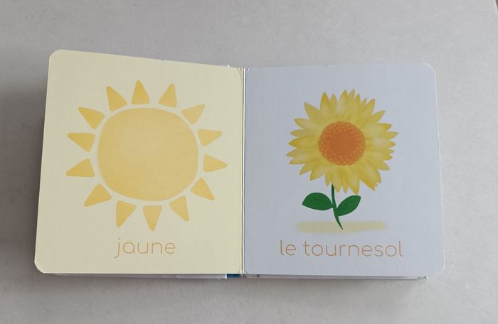 Livre : Les couleurs - photo numéro 2