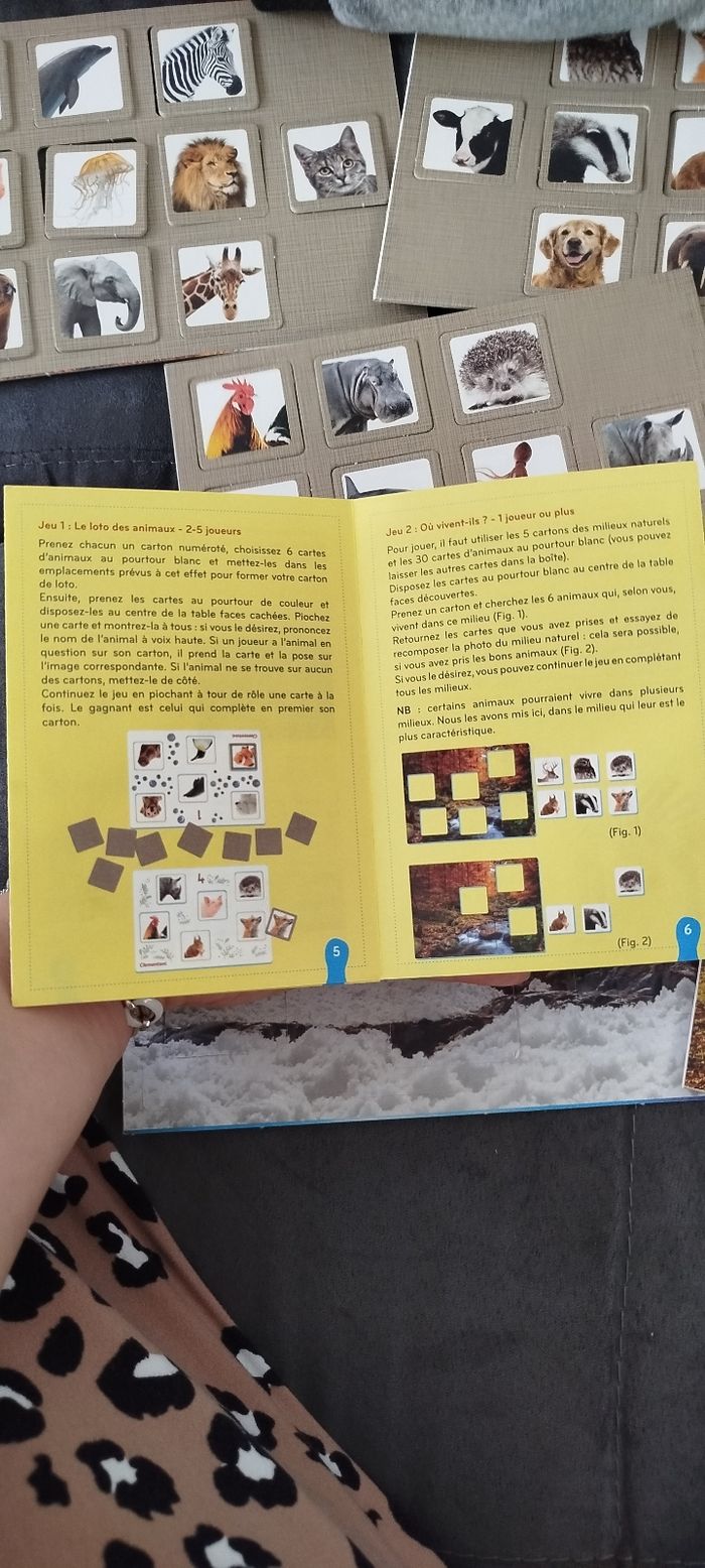 Jeux éducatifs - photo numéro 5