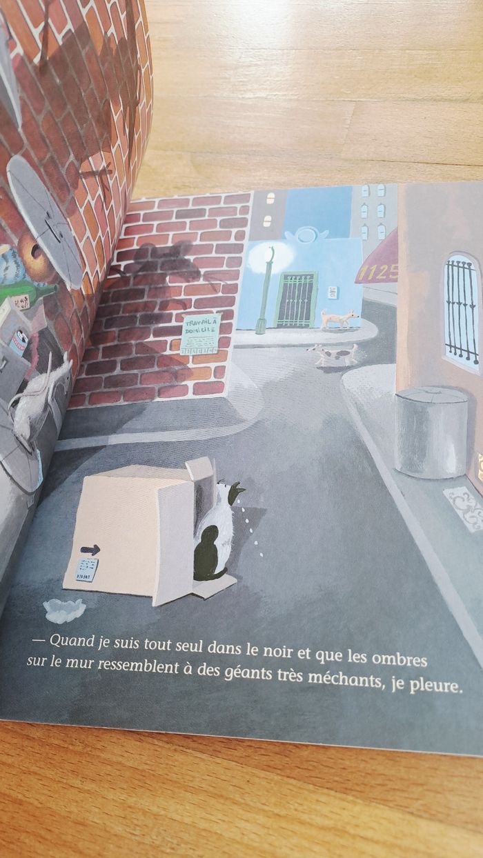 J'ai 5 ans et je ne pleure plus - photo numéro 2