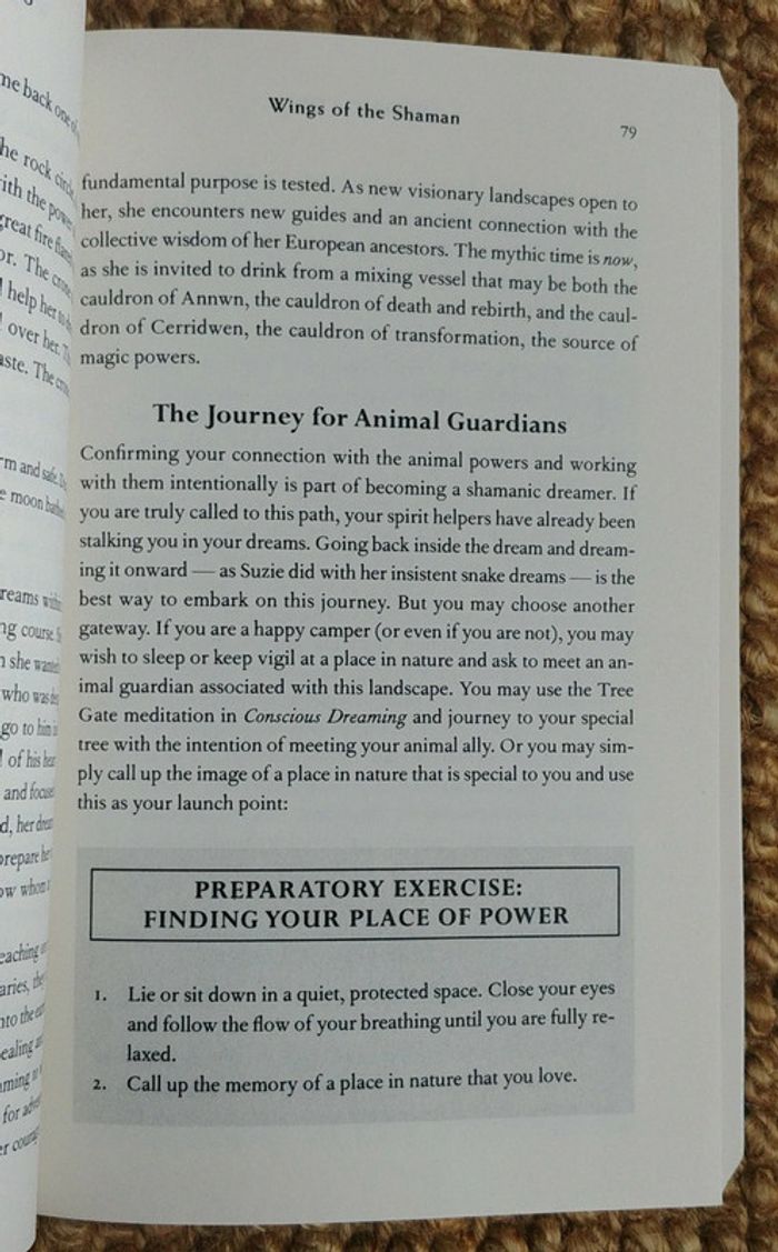 Dreamgates de Robert Moss (2010) - photo numéro 12