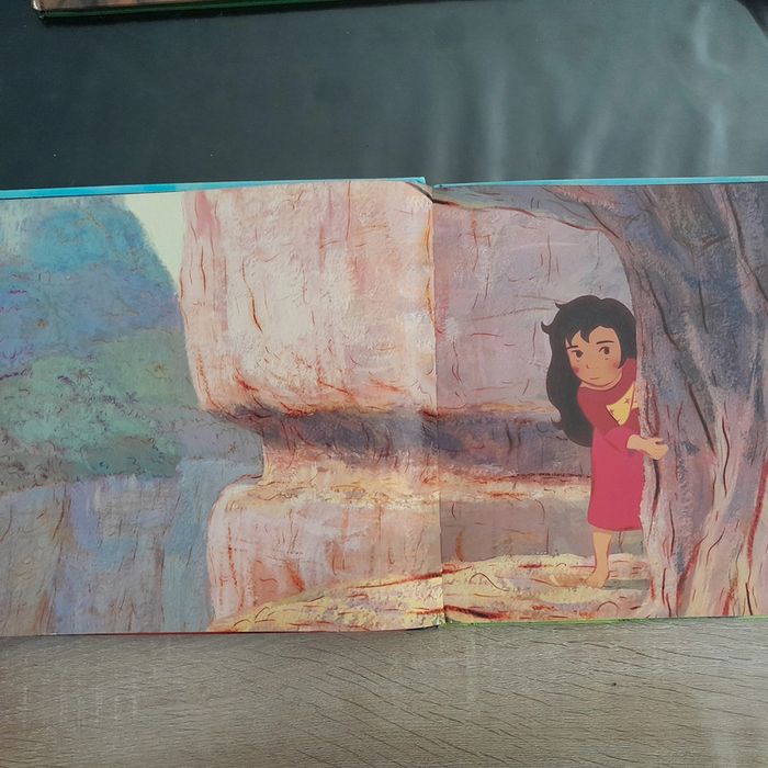 grand livre Mia et le Migou - photo numéro 3
